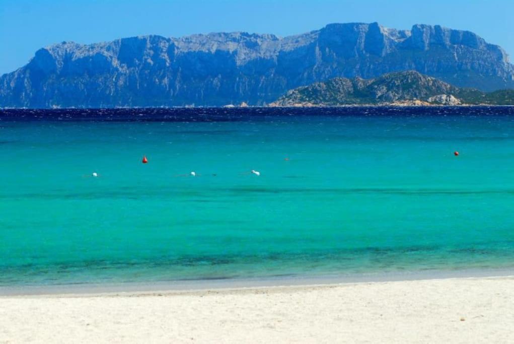 Sardegna Casa A 250 Metri Dal Mare Con Piscina Apartment Olbia Exterior foto